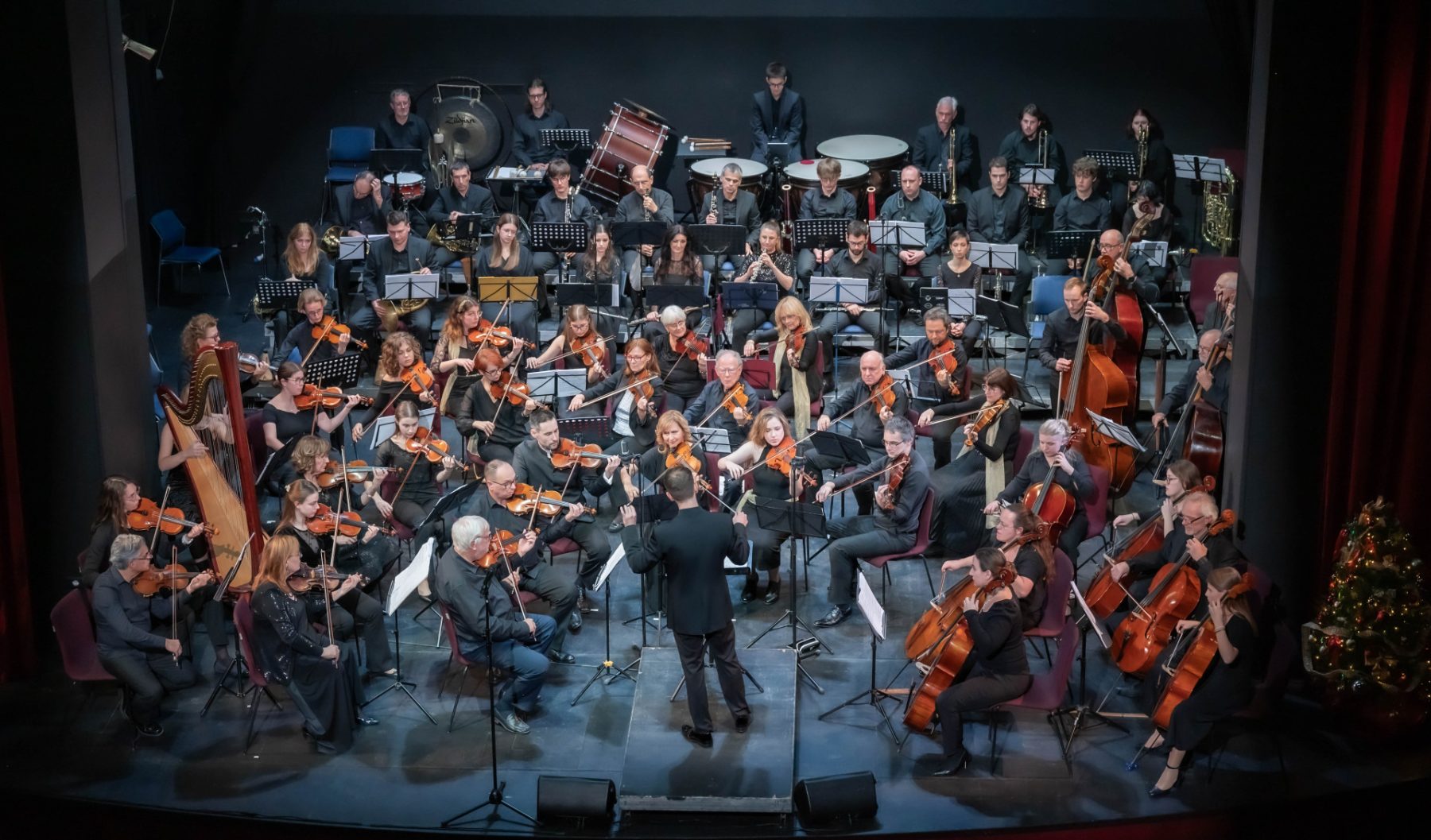Obalni komorni orkester  - Novice in odmevi